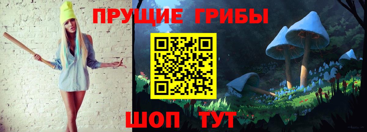 Галлюциногенные грибы Psilocybine cubensis Набережные Челны